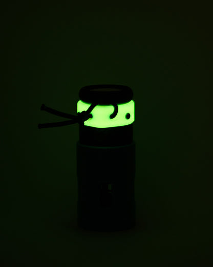 Turtle Head Tracking Cap